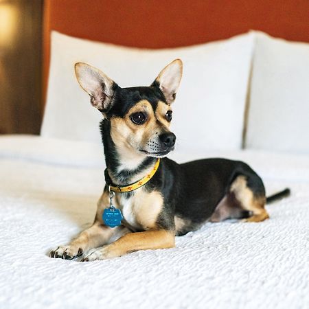 Hampton Inn Lexington South Ngoại thất bức ảnh