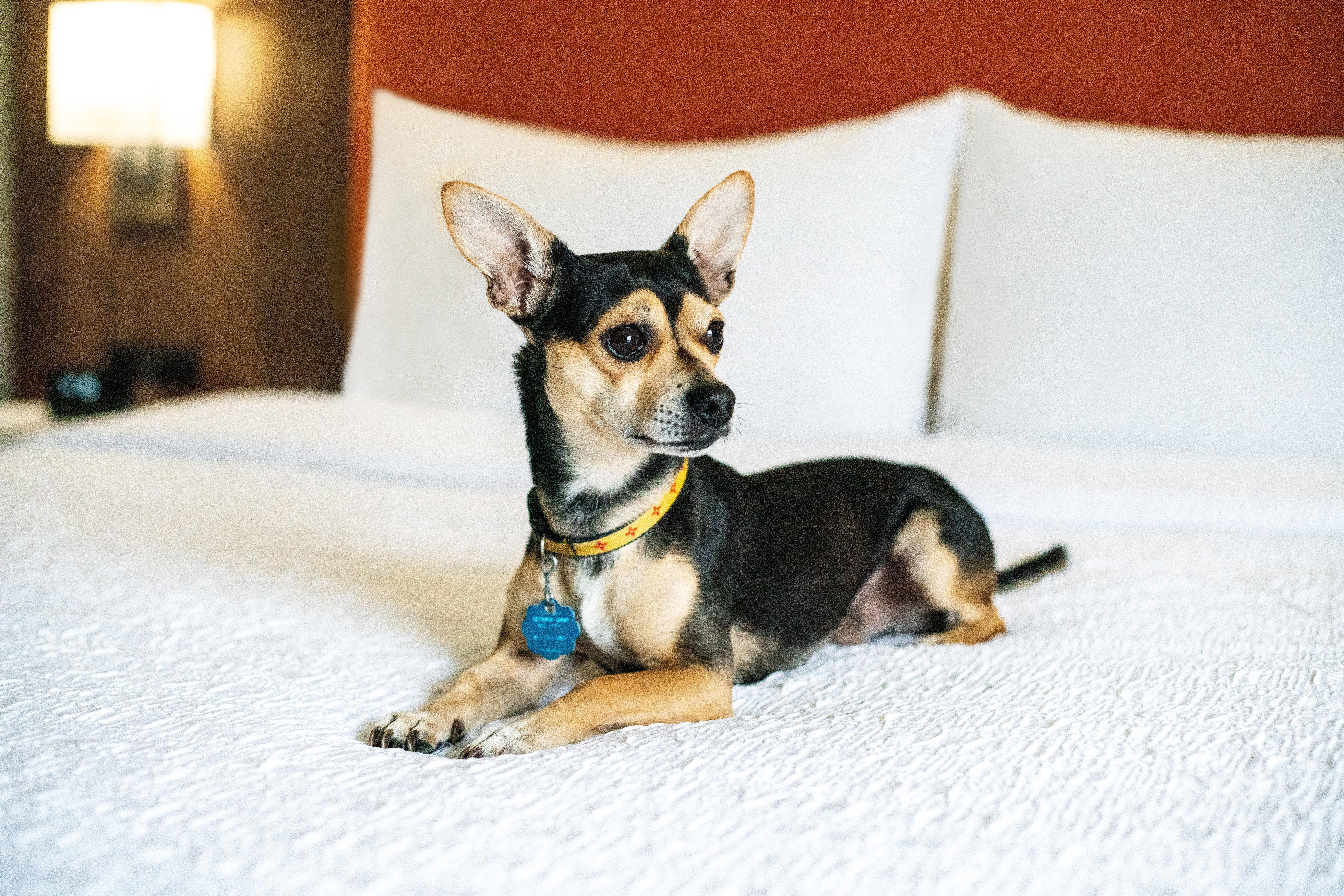 Hampton Inn Lexington South Ngoại thất bức ảnh